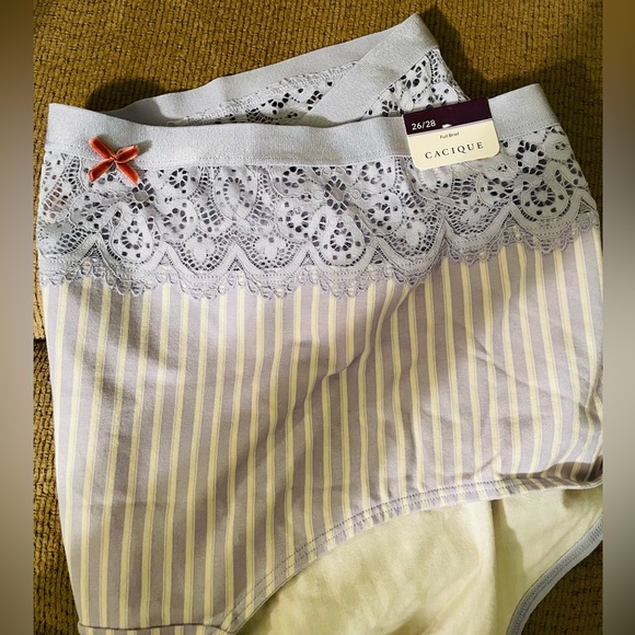 Panties Bundle (Lane Bryant) - Picture 3 of 7